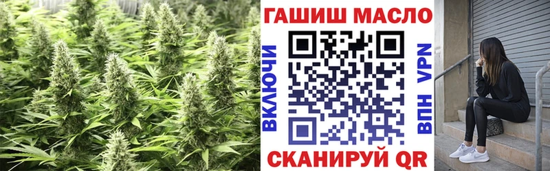 ТГК Wax  Чаплыгин 
